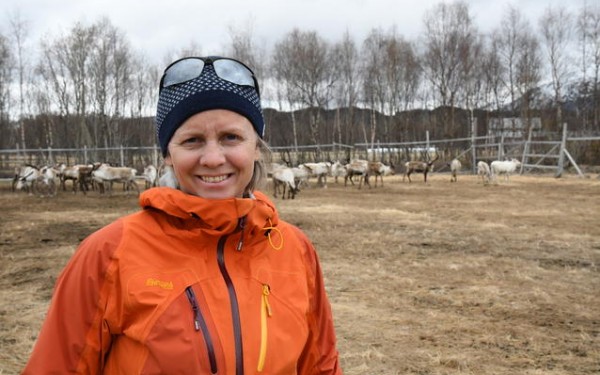 Camilla Risvoll har forsket på reinnæringa, og blant annet fulgt den årlige flyttinga fra Fauske til Sjunkfjorden. Foto: Thoralf Fagertun