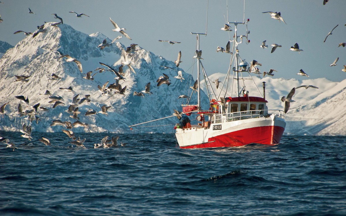 Foto: Reiner Schaufler / nordnorge.com