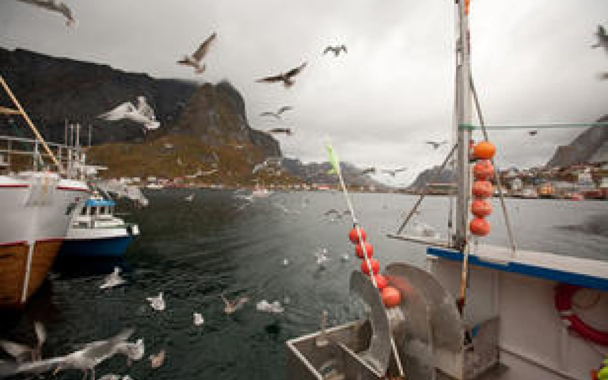 Lofoten. Fotograf: Lawrence Hislop