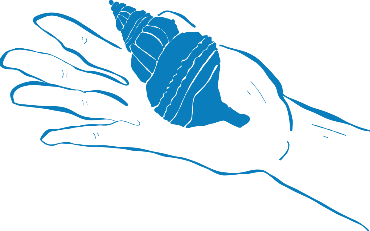 shell Illustration, hand holding shell