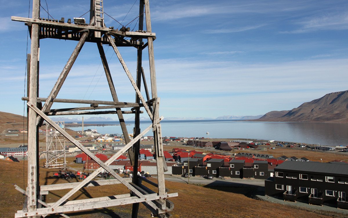 Taubanebukker Longyearbyen. Foto: Frank Andreassen / nordnorge.com Taubanebukker Longyearbyen. Foto: Frank Andreassen / nordnorge.com