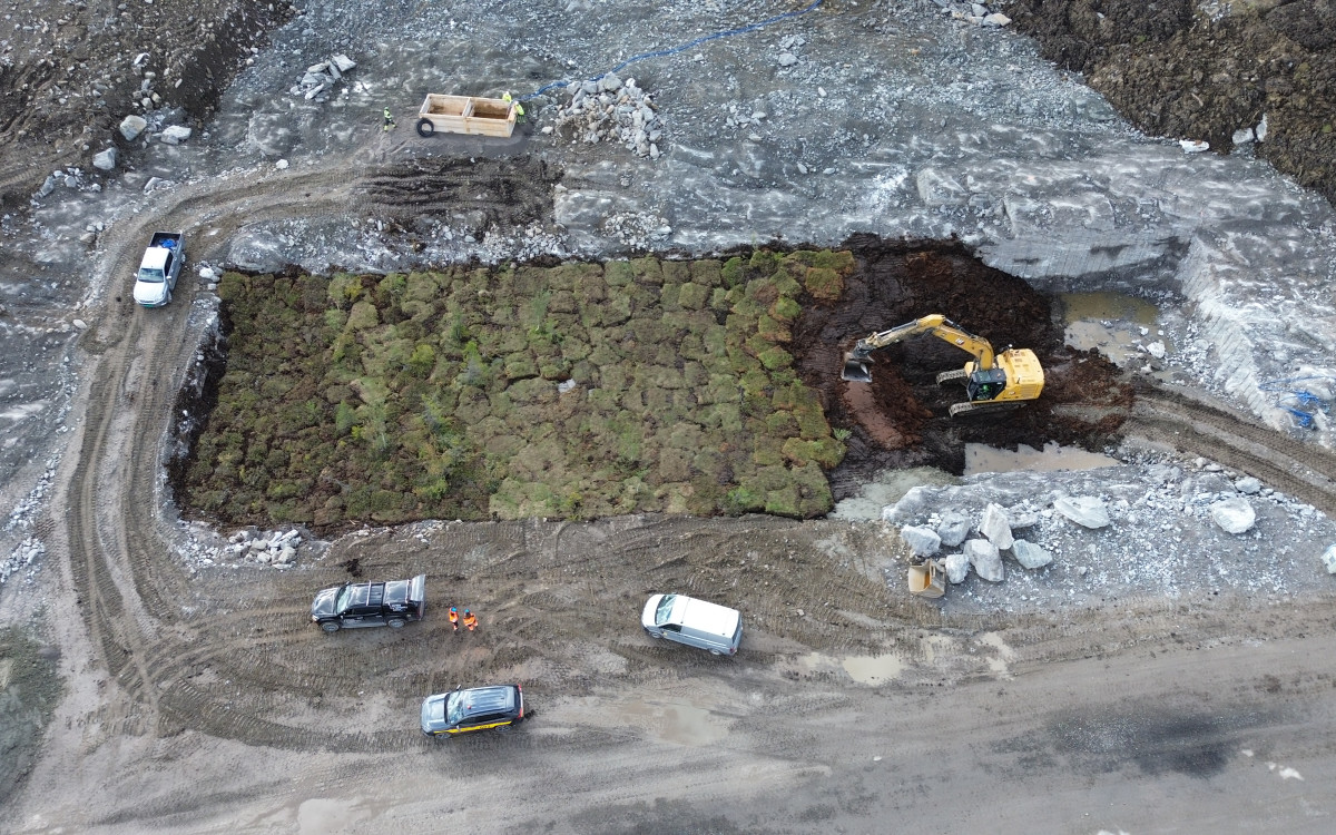 Myrflytt. Foto: Avinor