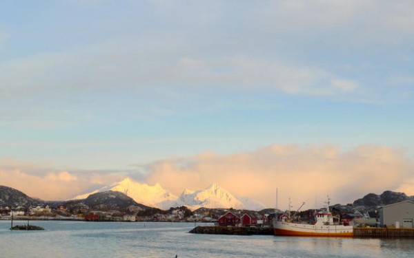 Buksnesfjorden blir surere. Både livet til havs og de som er avhengig av det kommer til å bli påvirket. Foto: Halvor Dannevig