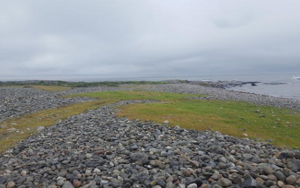 Jomfruland er eit av verneområda som er med i forsøksordninga. Foto: Gunn Elin Fedreheim