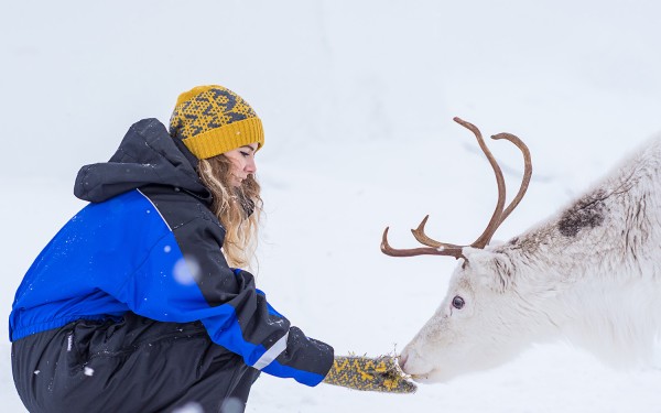 Rein og turist. Foto: Ørjan Bertelsen / nordnorge.com