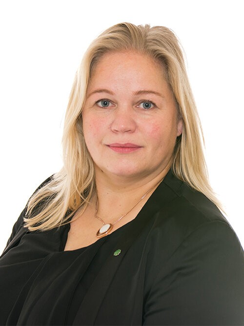 Kari Anne Bøkestad Andreassen. Foto: Stortinget Kari Anne Bøkestad Andreassen. Foto: Stortinget