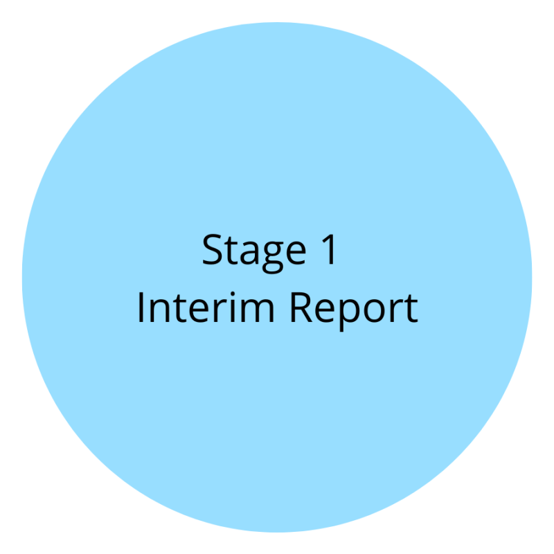 Stage 1 Interim Report Stage 1 Interim Report