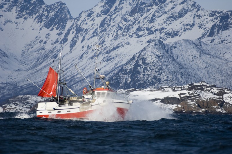 Fiskebåt. Foto: Terje Rakke / Nordic Life / nordnorge.com