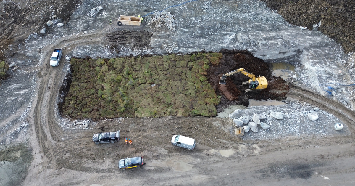 Løfter frem viktigheten av myr