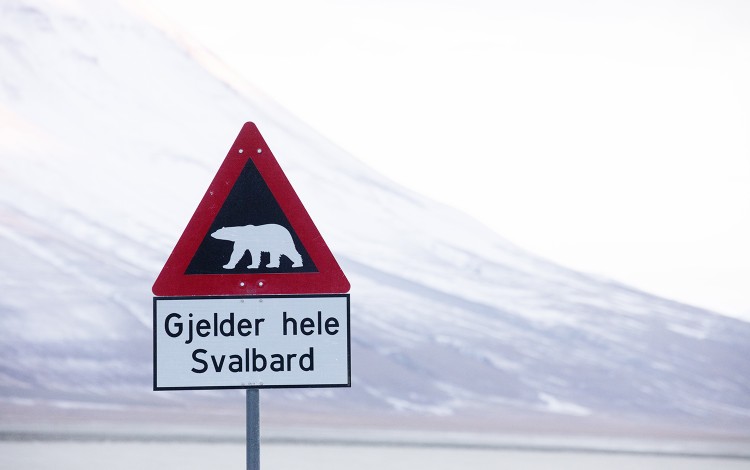 Balancing Act-workshop på Svalbard oktober 2022. Foto: Marta Anna Løvberg